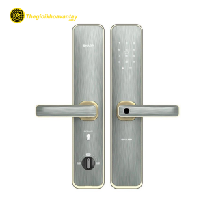 SHARP A2-B VÀNG (GOLD)