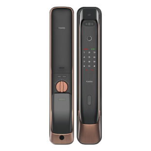 Kaadas K20-F
