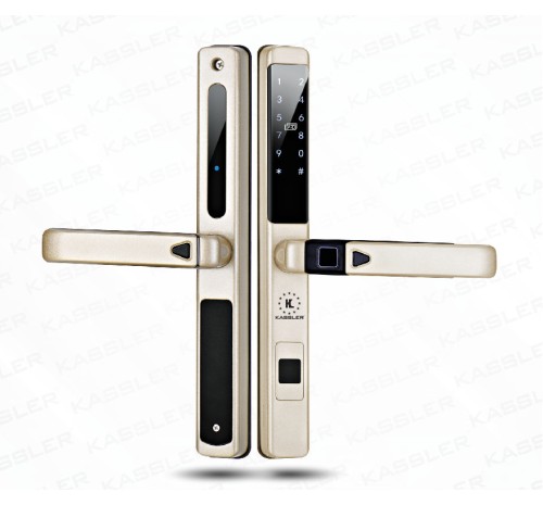 Kassler KL-599LX Champage Gold